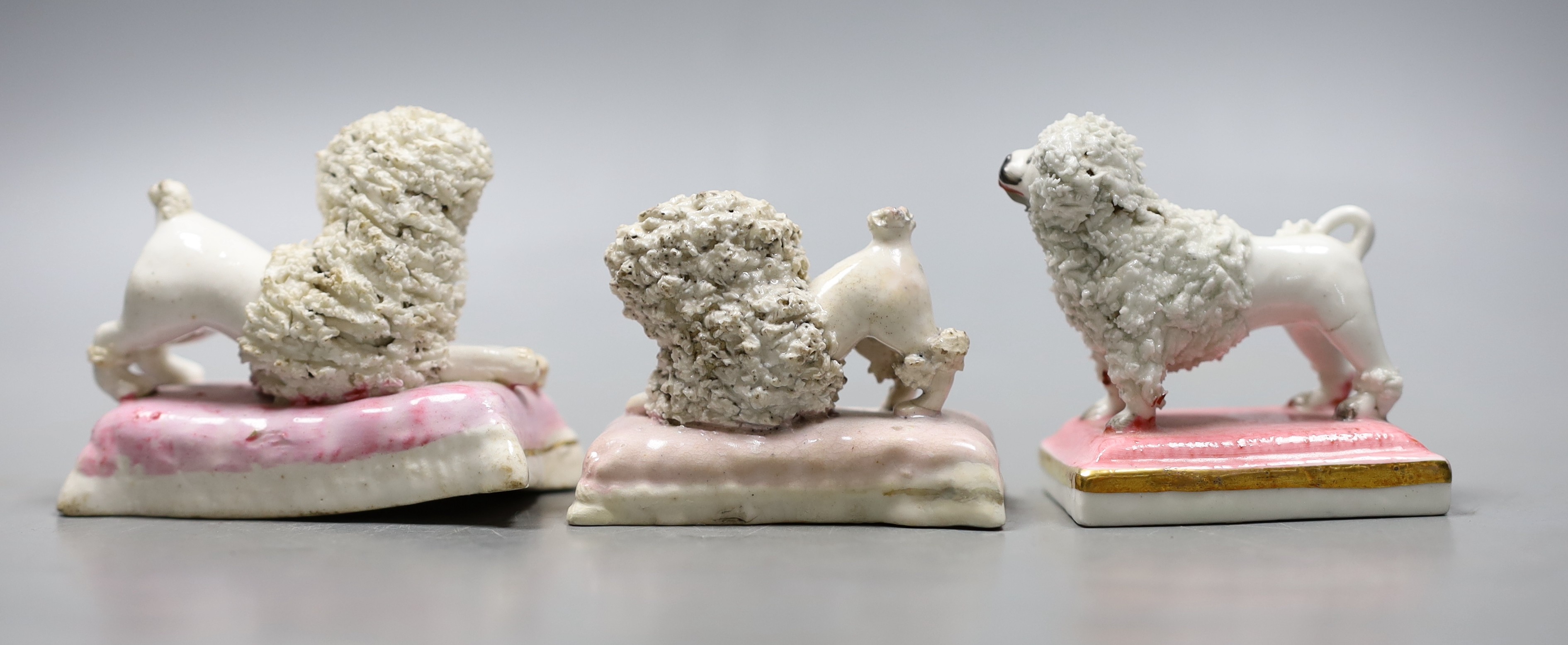 Three Staffordshire porcelain models of poodles, c.1835–50, each on a pink cushion base, largest 7.5 cm long, Cf. Dennis G Rice, Dogs in English porcelain, colour plate 82, Provenance- Dennis G Rice collection